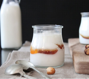 yogurt-y-lacteos1
